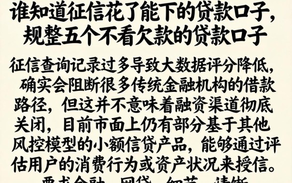谁知道征信花了能下的贷款口子，规整五个不看欠款的贷款口子
