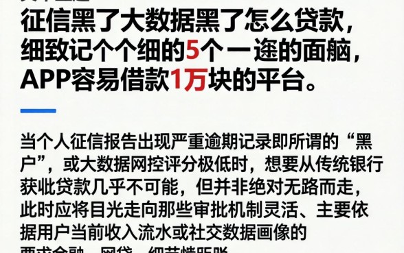 征信黑了大数据黑了怎么贷款，细致阐述5个APP容易借款1万块的平台