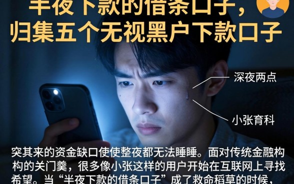 半夜下款的借条口子，归集五个无视黑户下款口子
