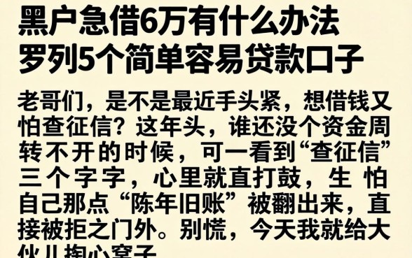 黑户急借6万有什么办法，罗列5个简单容易贷款口子
