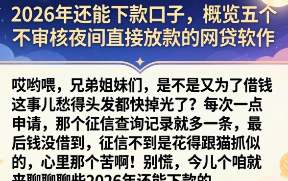 2026年还能下款的口子，概览五个不审核夜间直接放款的网贷软件