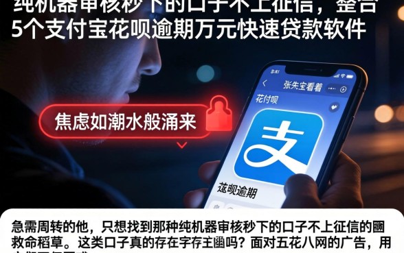纯机器审核秒下的口子不上征信，整合5个支付宝花呗逾期万元快速贷款软件