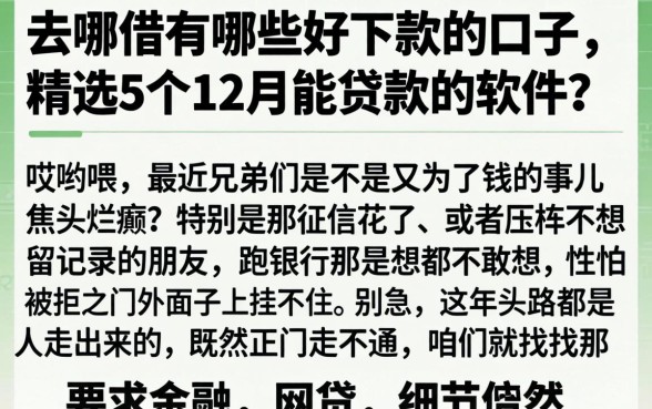 去哪借有哪些好下款的口子，精选5个12月能贷款的软件