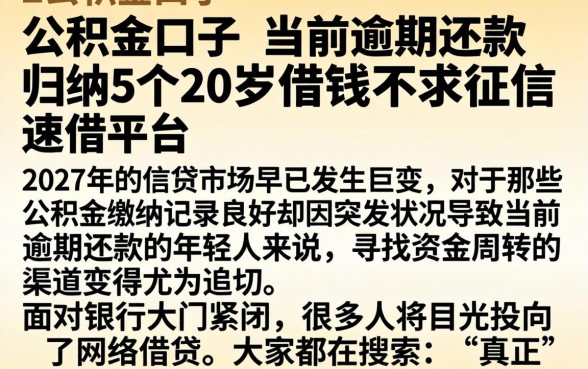 公积金口子 当前逾期还款，归纳5个20岁借钱不求征信速借平台