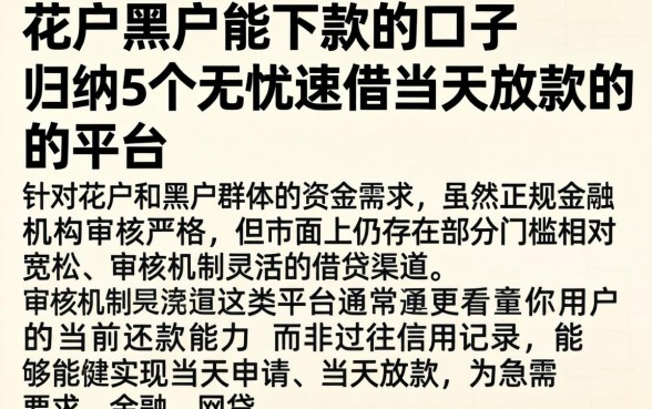 花户黑户能下款的口子，归纳5个无忧速借当天放款的平台