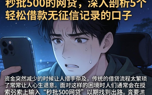 秒批500的网贷，深入剖析5个轻松借款无征信记录的口子