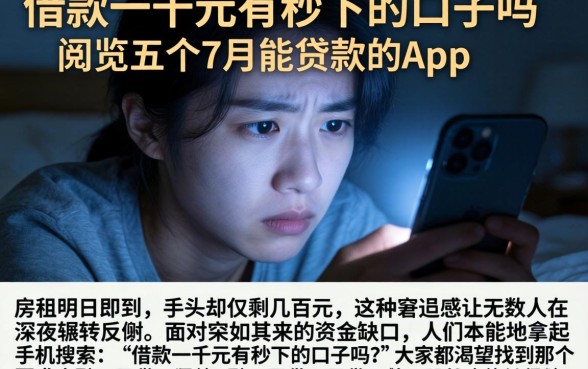 借款一千元有秒下的口子吗，概览五个7月能贷款的app