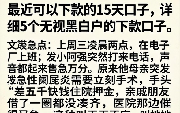 最近可以下款的15天口子，详细阐述5个无视黑白户的下款口子