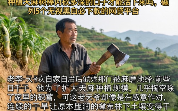 种植天麻的树棒要砍多深的口子才能活下来吗,胪列5个无视黑白必下款的网贷平台