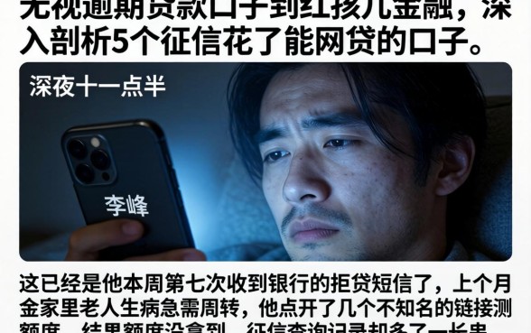 无视逾期的贷款口子到红孩儿金融，深入剖析5个征信花了能网贷的口子