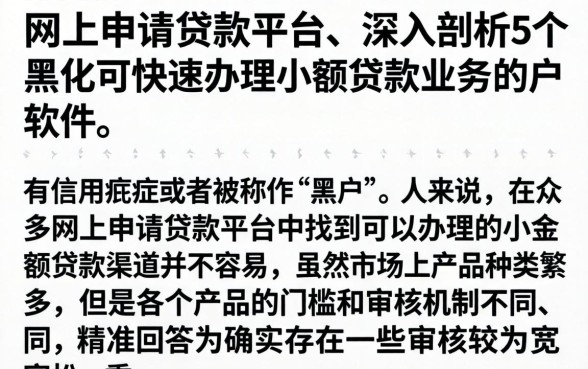 网上申请贷款平台，深入剖析5个黑户可快速办理小额贷款业务的软件