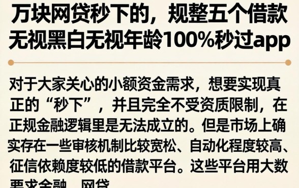 2万块网贷秒下的，规整五个借款无视黑白无视年龄100%秒过app