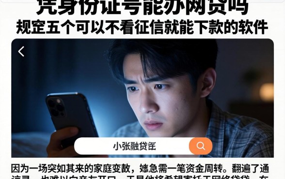 凭身份证号能办网贷吗，规整五个可以不看征信就能下款的软件