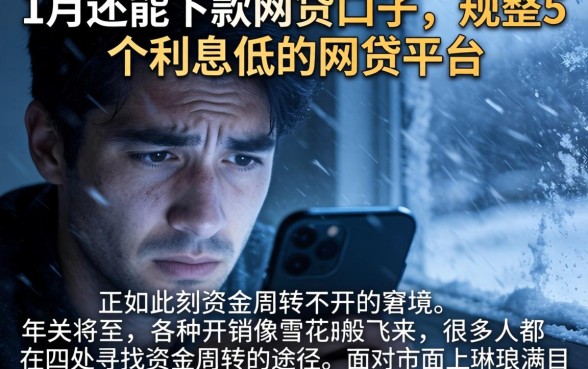 1月还能下款的网贷口子,规整5个利息低的网贷平台