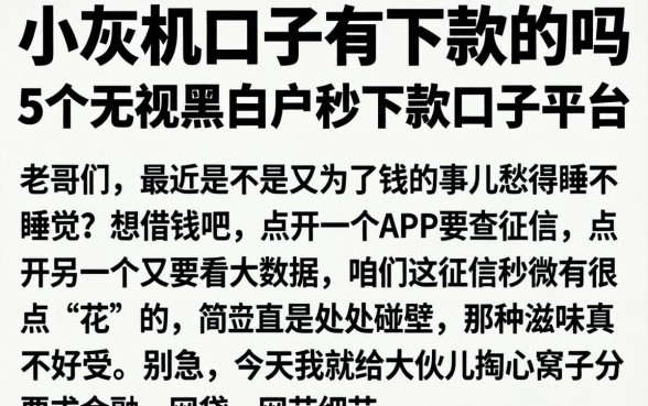 小灰机口子有下款的吗，详细阐述5个无视黑白户秒下款口子平台