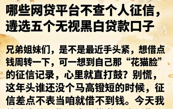 哪些网贷平台不查个人征信，遴选五个无视黑白贷款口子