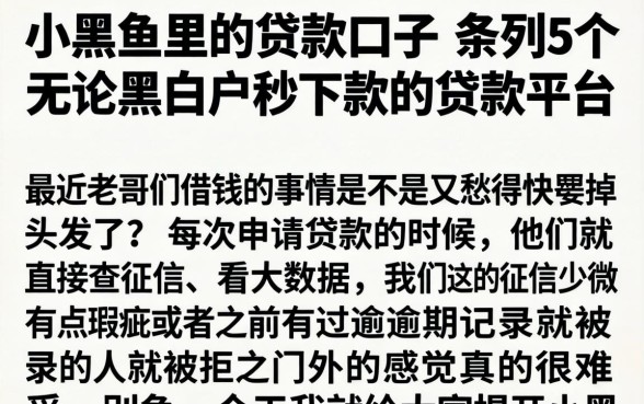 小黑鱼里的贷款口子，条列5个无论黑白户秒下款的贷款平台