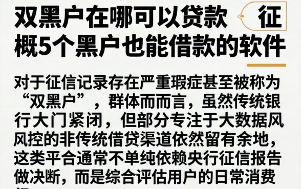 双黑户在哪可以贷款，概览5个黑户也能借款的软件