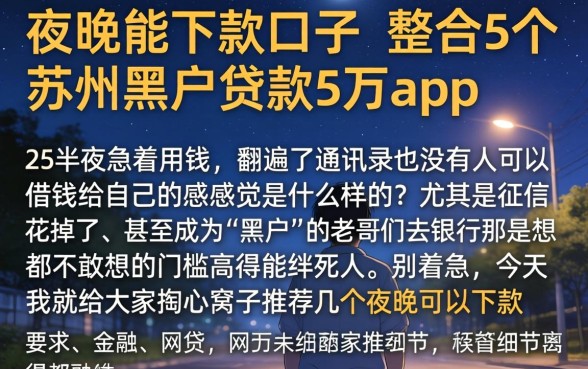 夜晚能下款的口子，整合5个苏州黑户贷款5万的app