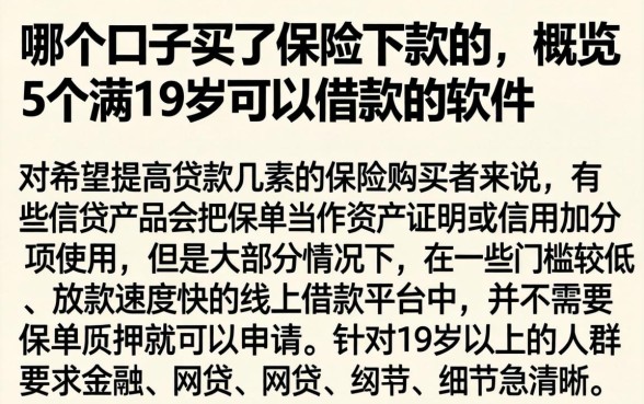 哪个口子买了保险下款的，概览5个满19岁可以借款的软件