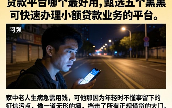 贷款平台哪个最好用，甄选五个黑户可快速办理小额贷款业务的平台
