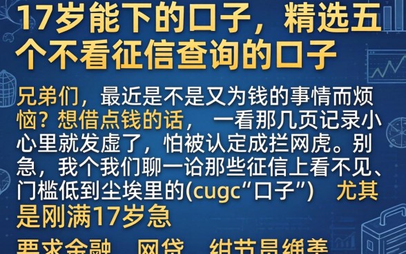 17岁能下的口子，精选五个不看征信查询的口子