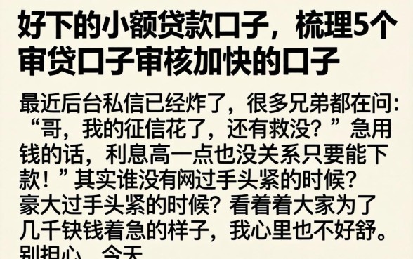 好下的小额贷款口子，梳理5个审贷口子审核加快的口子