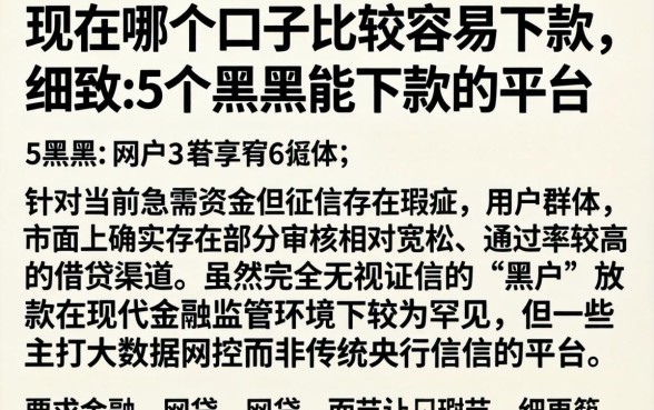 现在哪个口子比较容易下款，细致阐述5个黑户能下款的平台