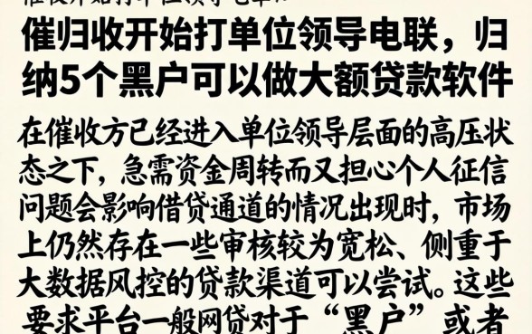 催收开始打单位领导电联，归纳5个黑户可以做大额贷款软件