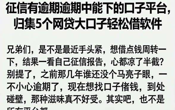 征信有逾期逾期中能下的口子平台，归集5个网贷大口子轻松借软件