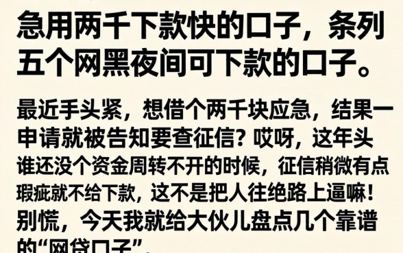急用两千下款快的口子，条列五个网黑夜间可下款的口子