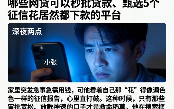 哪些网贷可以秒批贷款，甄选5个征信花居然都下款的平台