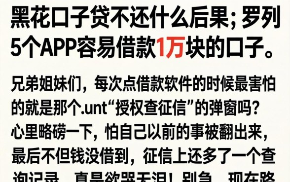 黑花口子贷不还什么后果，罗列5个APP容易借款1万块的口子