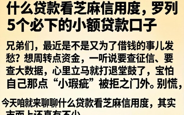 什么贷款看芝麻信用度，罗列5个必下的小额贷款口子