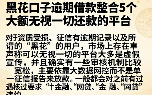 黑花口子逾期借款，整合5个大额无视一切还款的平台