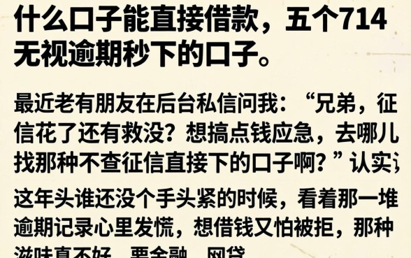 什么口子能直接借款，详细阐述五个714无视逾期秒下的口子