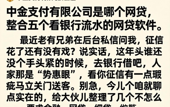 中金支付有限公司是哪个网贷，整合五个看银行流水的网贷软件