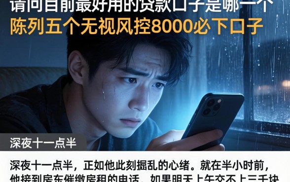 请问目前最好用的贷款口子是哪一个，陈列五个无视风控8000必下口子