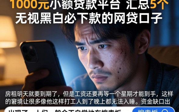1000元小额贷款平台，汇总5个无视黑白必下款的网贷口子