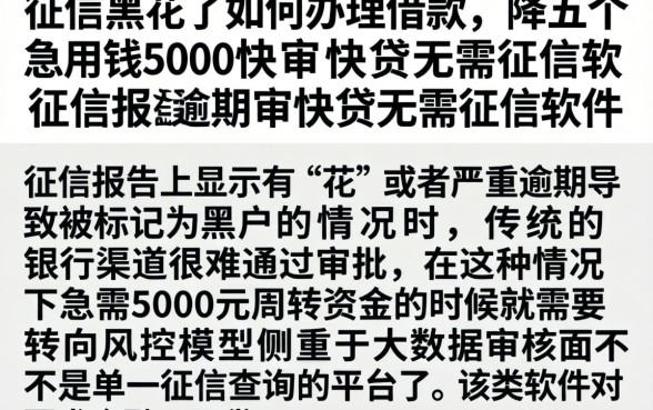 征信黑花了如何办理借款，枚举五个急用钱5000快审快贷无需征信软件