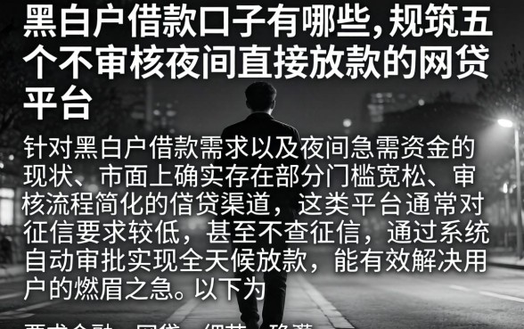 黑白户借款口子有哪些，规整五个不审核夜间直接放款的网贷平台