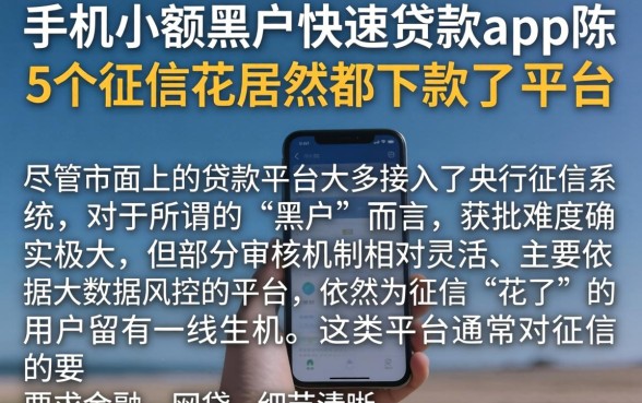 手机小额黑户快速贷款app，陈列5个征信花居然都下款了的平台