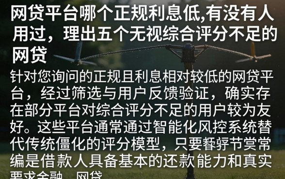网贷平台哪个正规利息低,有没有人用过,理出五个无视综合评分不足的网贷