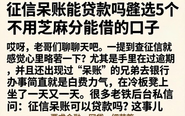 征信呆账能贷款吗，遴选5个不用芝麻分能借的口子