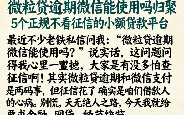 微粒贷逾期微信能使用吗，归集5个正规不看征信的小额贷款平台