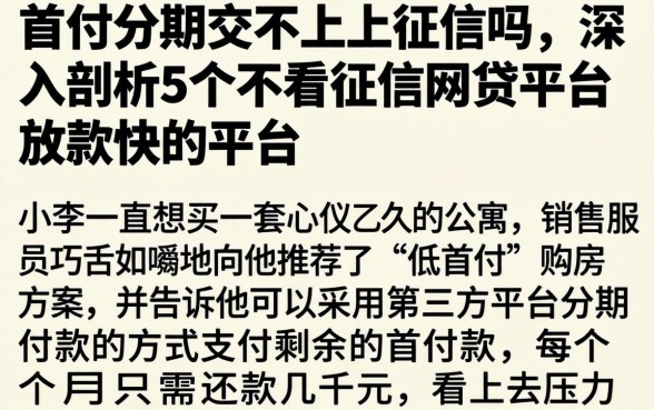 首付分期交不上上征信吗,深入剖析5个不看征信网贷平台放款快的平台