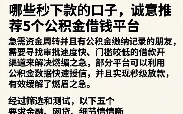 哪些秒下款的口子,诚意推荐5个公积金借钱平台