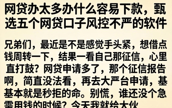网贷办太多办什么容易下款，甄选五个网贷口子风控不严的软件