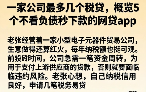 一家公司最多几个税贷，概览5个不看负债秒下款的网贷app