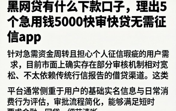 黑网贷有什么下款口子，理出5个急用钱5000快审快贷无需征信app